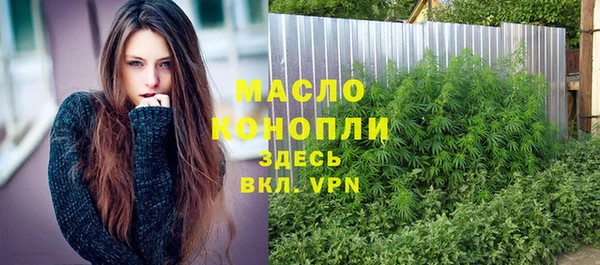 стаф Кулебаки