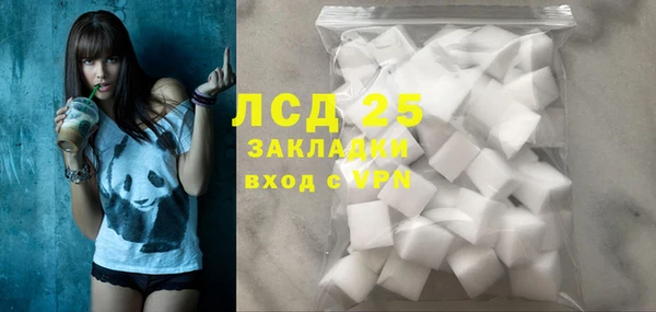стаф Кулебаки