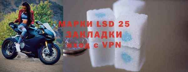 стаф Кулебаки