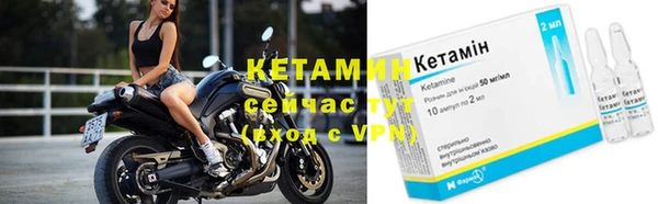 стаф Кулебаки