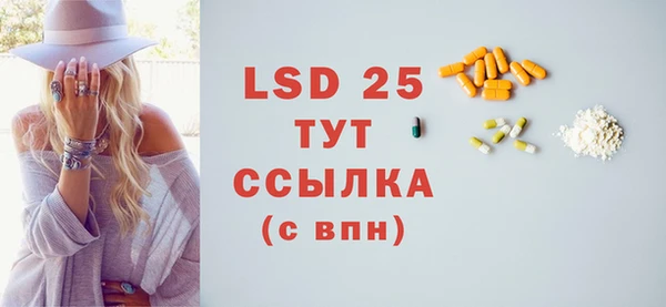 стаф Кулебаки