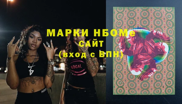 стаф Кулебаки