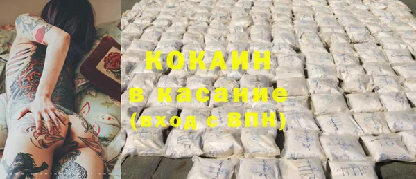 стаф Кулебаки