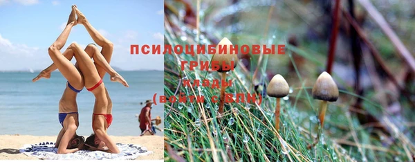 прущая мука Кукмор