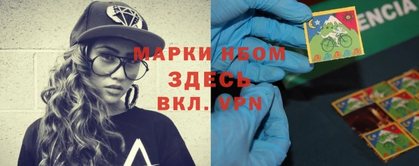 стаф Кулебаки