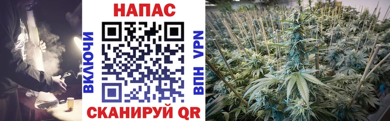 Купить закладки  Стародуб  Бошки марихуана Bruce Banner 